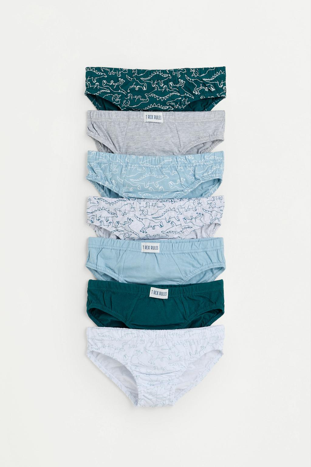 Dinosaur briefs (7-pack) – Lefties – صورة المنتج