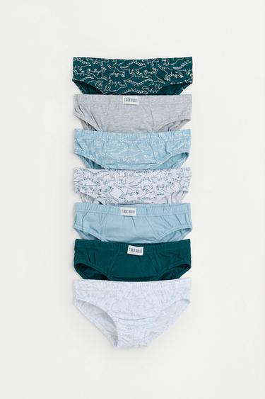 Dinosaur Print Briefs (7-Pack) — BLUE TONES 1