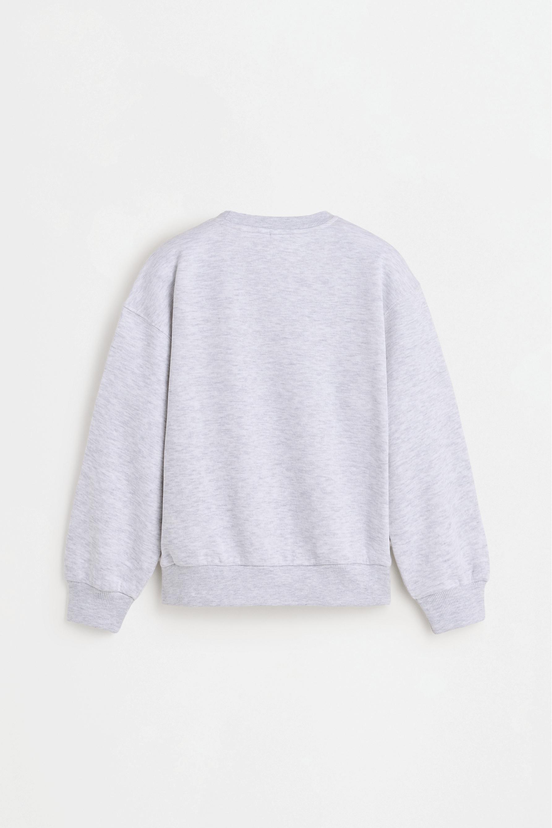 Pack of 2 plush sweatshirts — PALE GREY