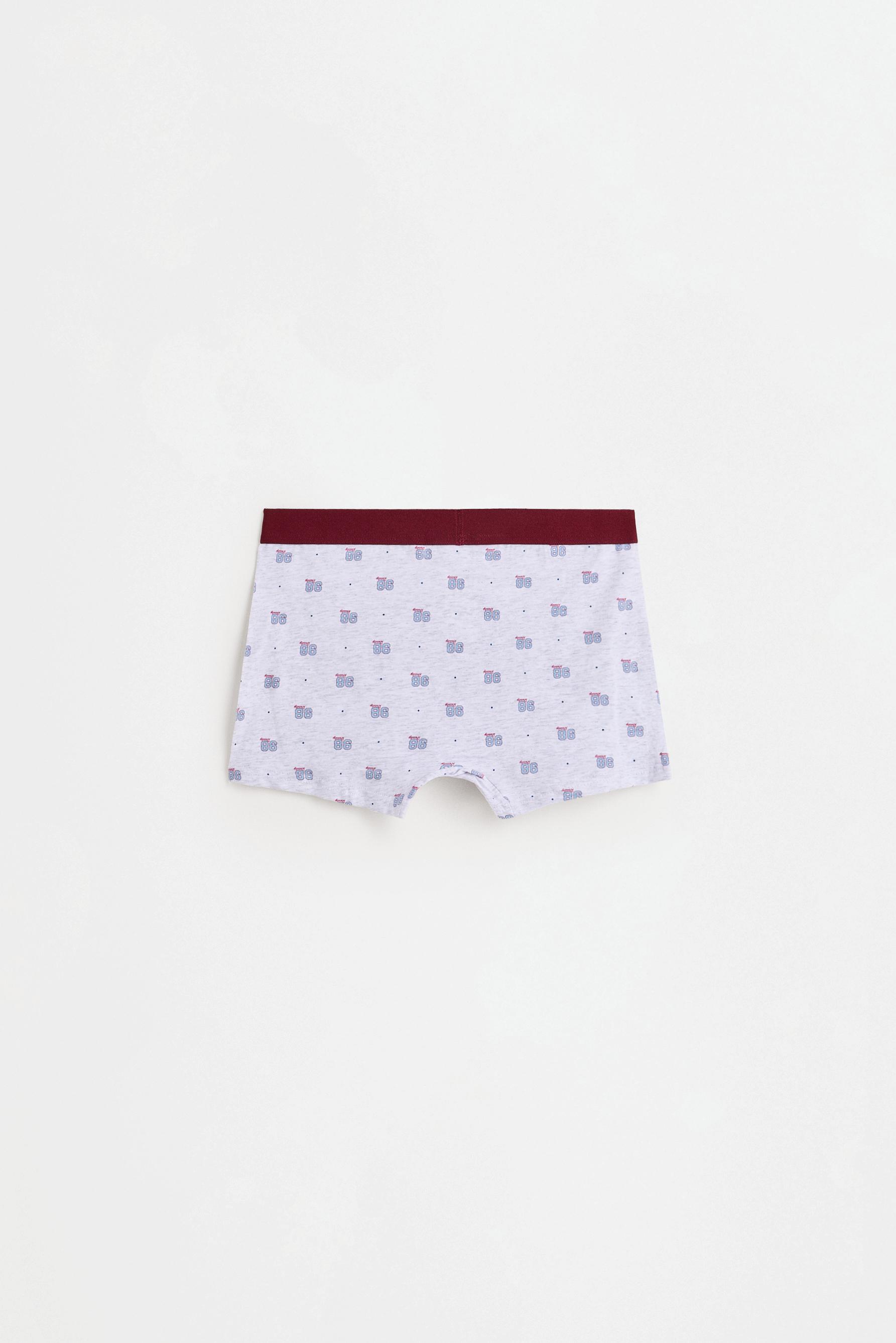 7-Pack of mixed boxer briefs — BLUE TONES