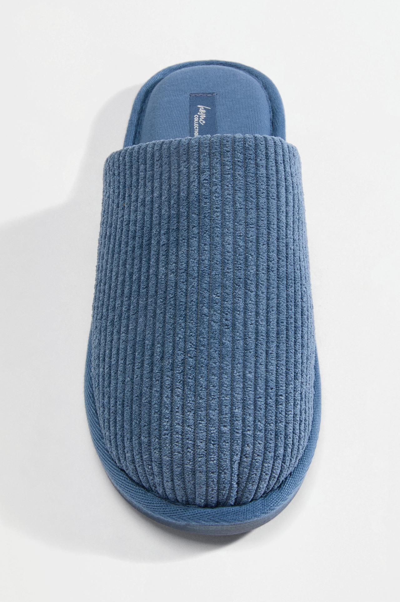House slippers — BLUE