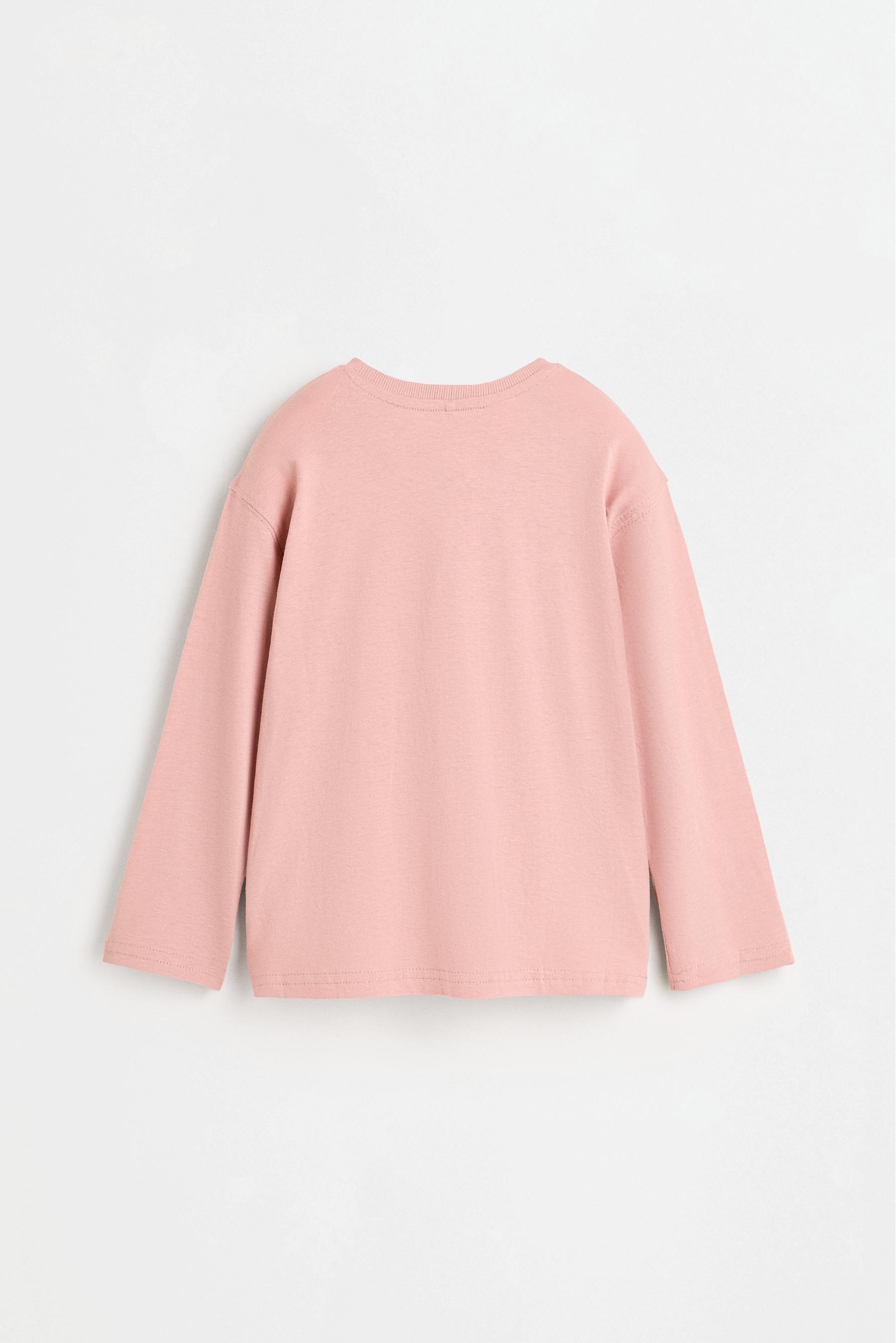 Pack of 2 assorted T-shirts — DUSTY PINK